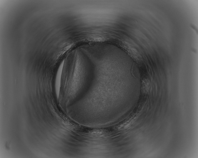 X0000091670358200709131533