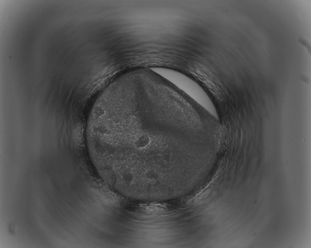 X0000091670359200709131533