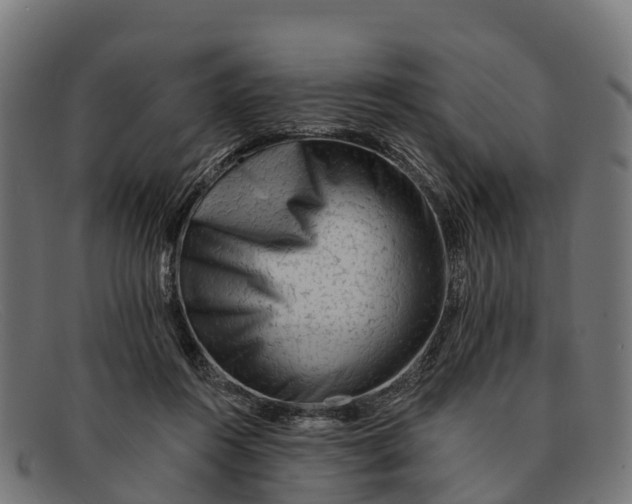 X0000091670360200709131533