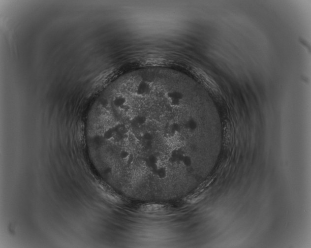 X0000091670361200709131533