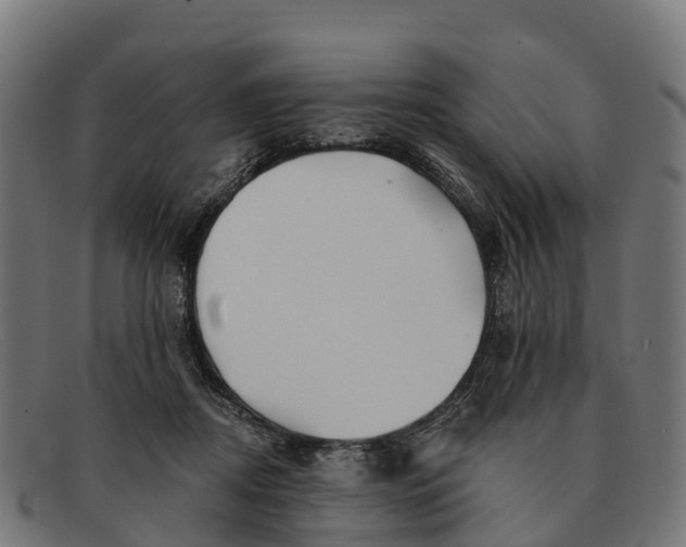 X0000091670362200709131533