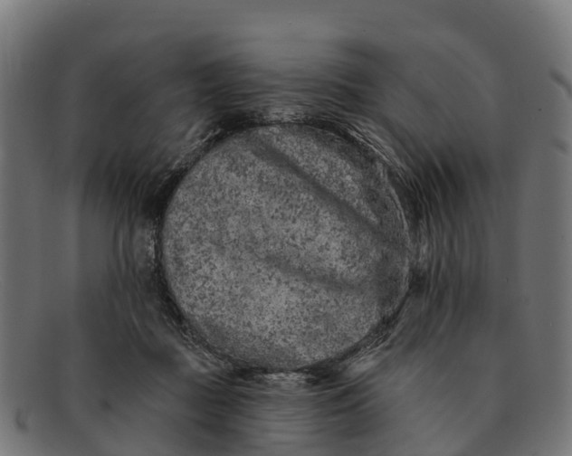 X0000091670363200709131533