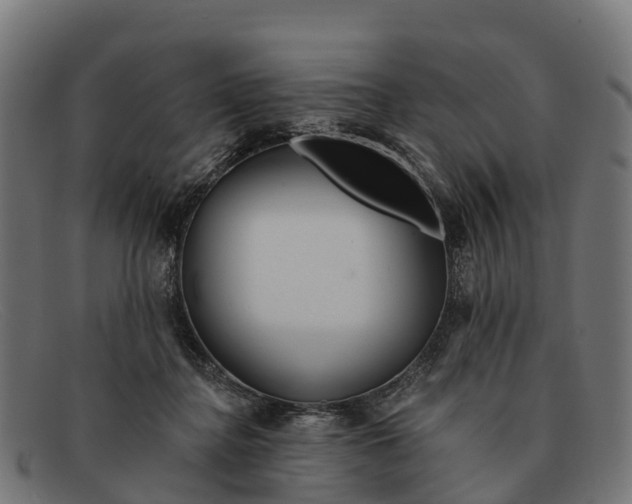 X0000091670364200709131533