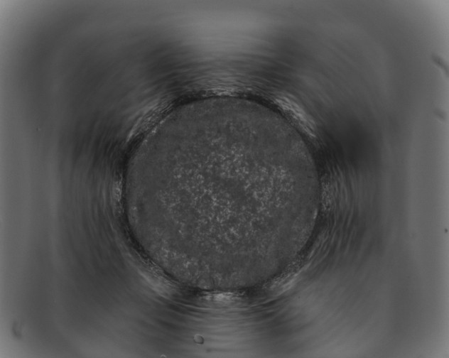 X0000091670365200709131533