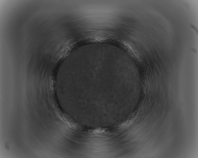 X0000091670366200709131533