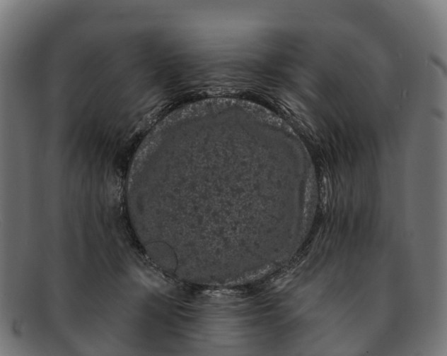 X0000091670367200709131533