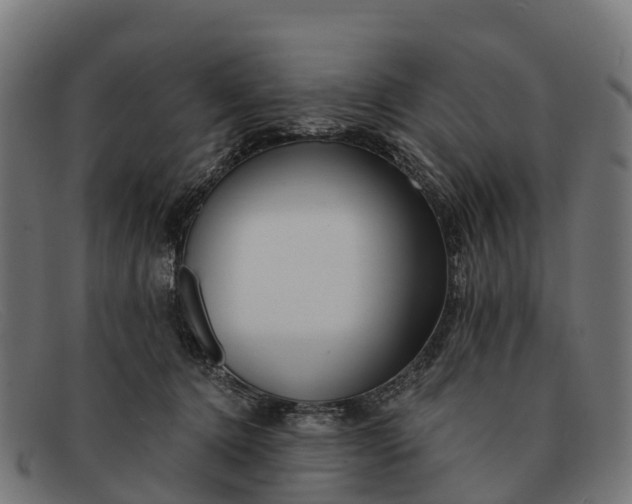 X0000091670368200709131533