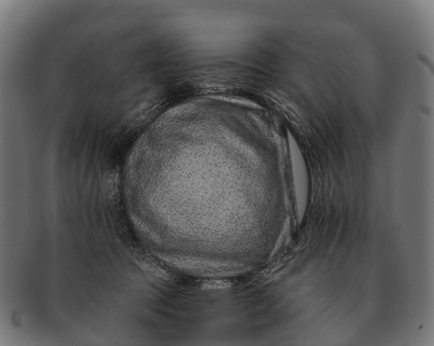 X0000091670369200709131533