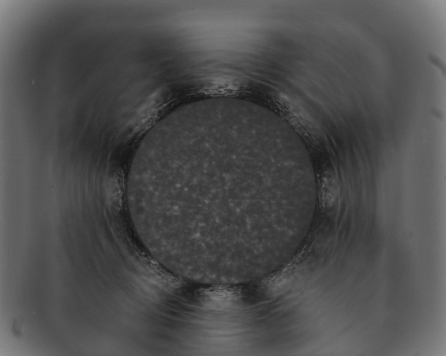 X0000091670370200709131533