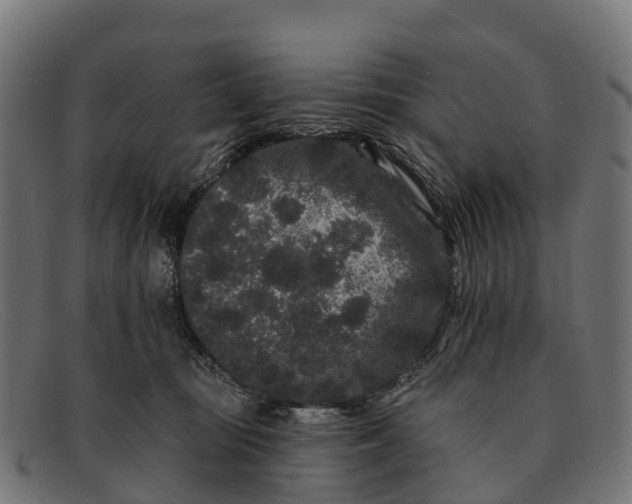 X0000091670371200709131533