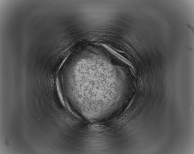 X0000091670372200709131533