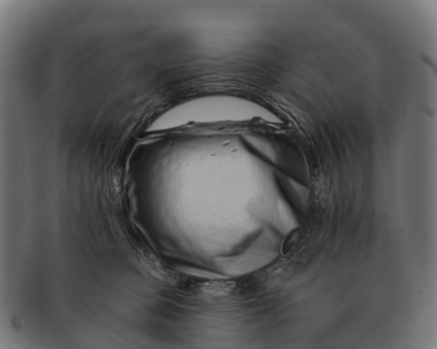 X0000091670373200709131533