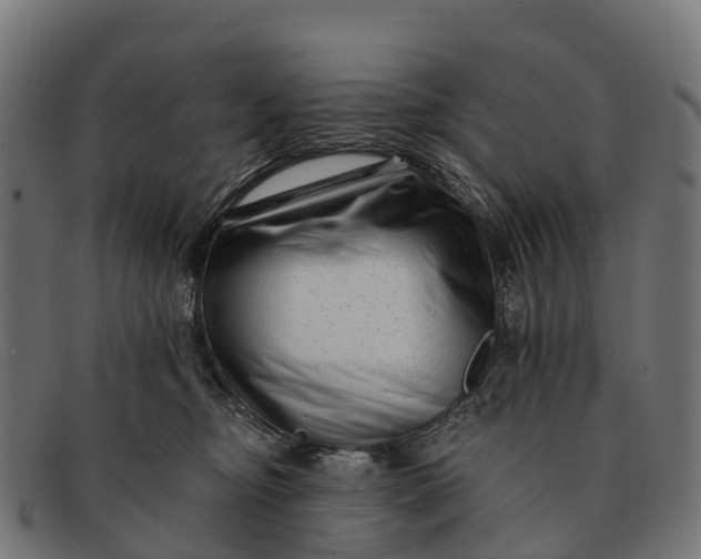 X0000091670374200709131533