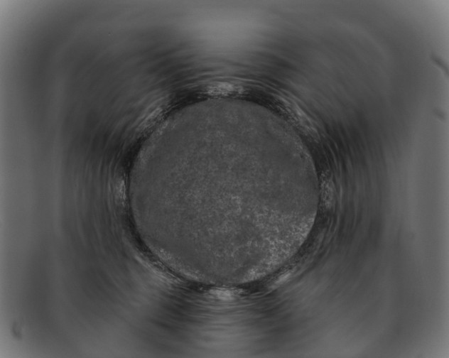 X0000091670375200709131533