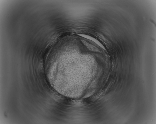 X0000091670377200709131533