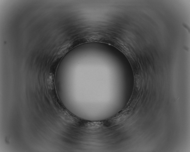 X0000091670378200709131533