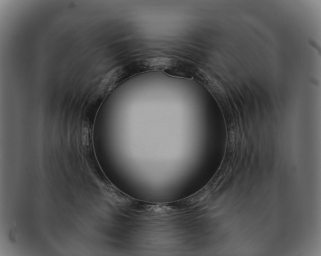 X0000091670379200709131533