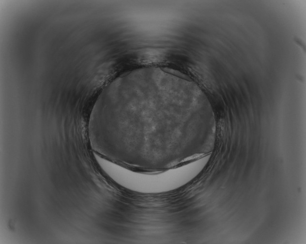 X0000091670380200709131533