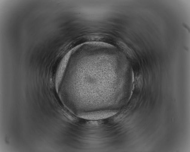 X0000091670381200709131533