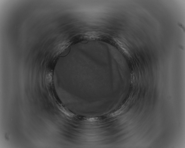 X0000091670382200709131533