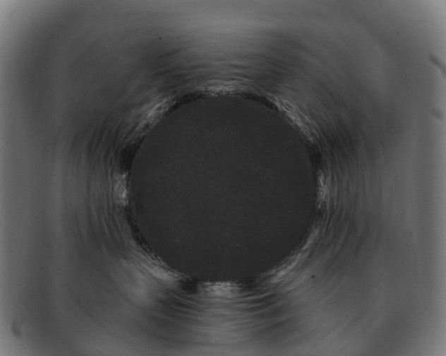 X0000091670383200709131533