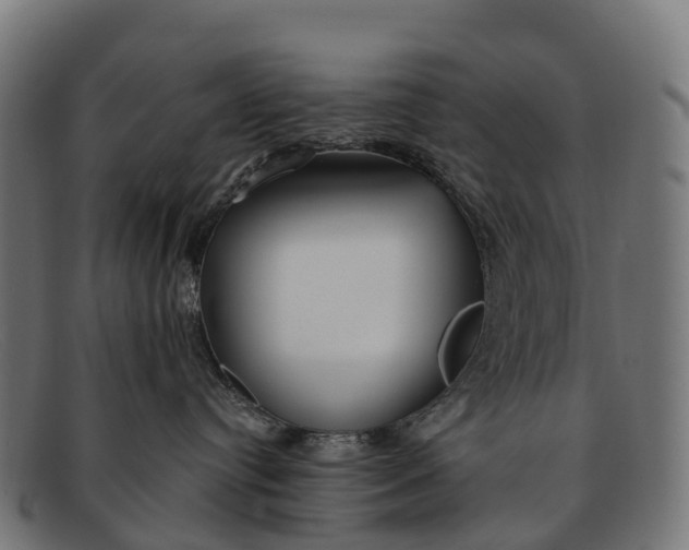 X0000091670384200709131533