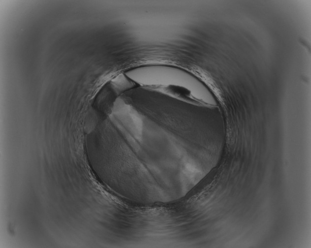 X0000091670385200709131532