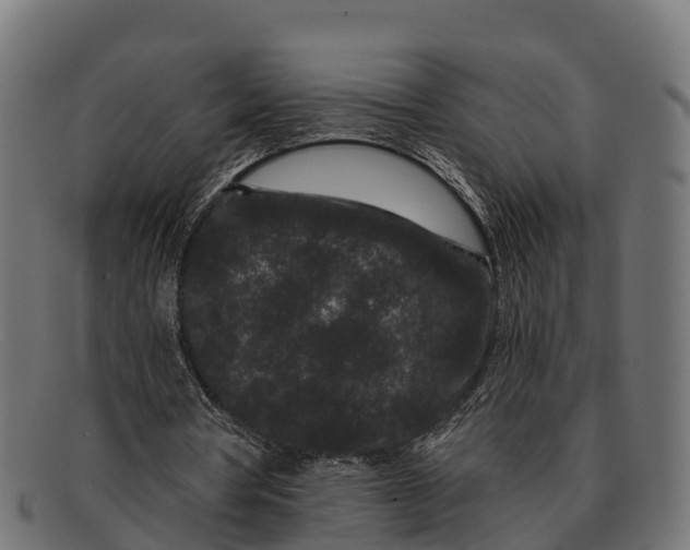 X0000091670386200709131532