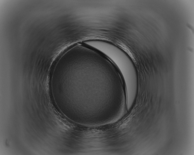 X0000091670387200709131532