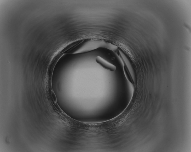 X0000091670388200709131532