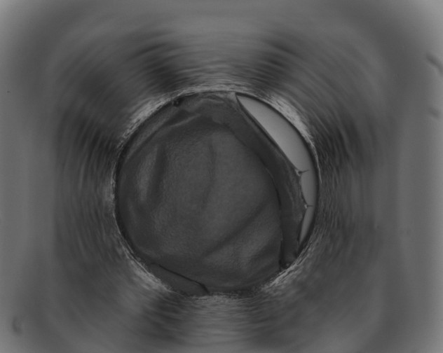 X0000091670389200709131532