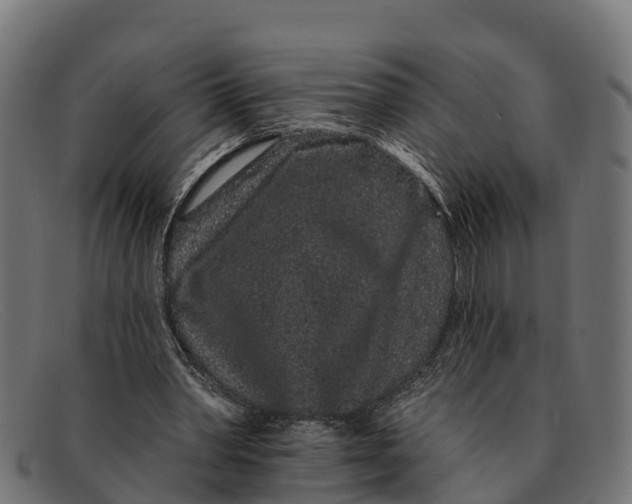 X0000091670390200709131532