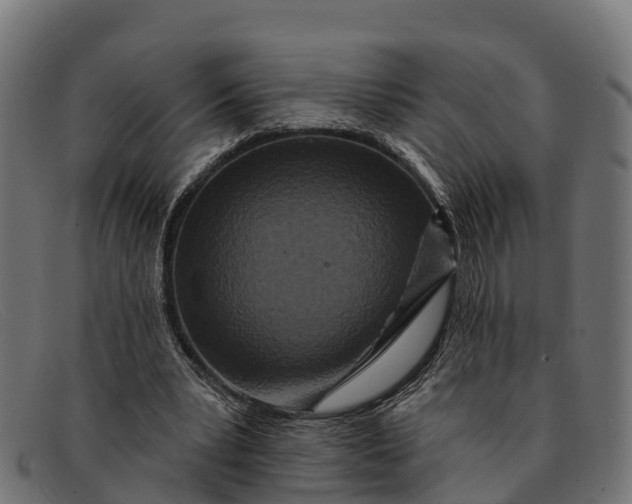 X0000091670391200709131532