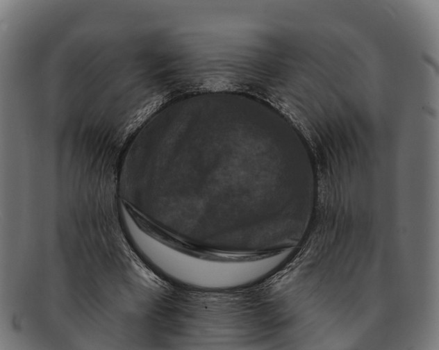 X0000091670393200709131532