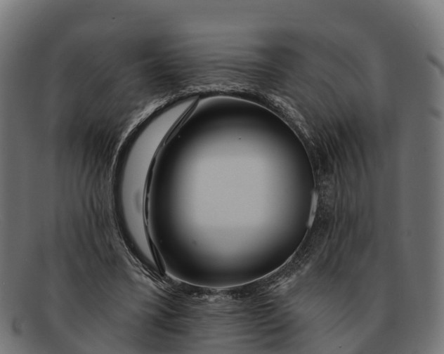 X0000091670395200709131532