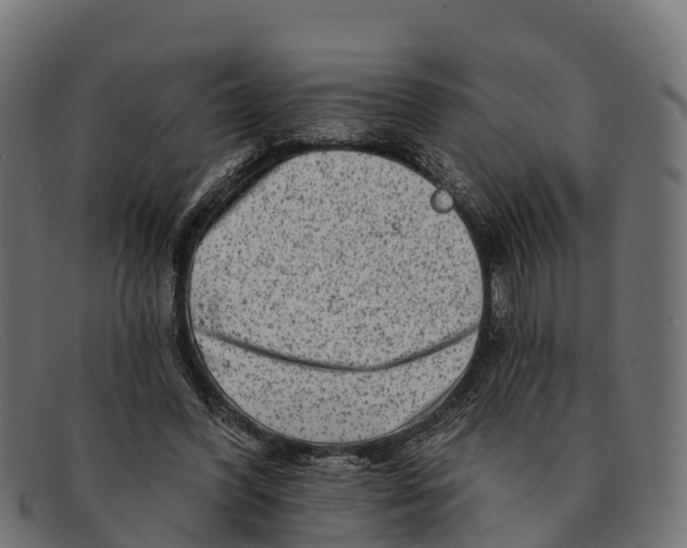 X0000091670396200709131532