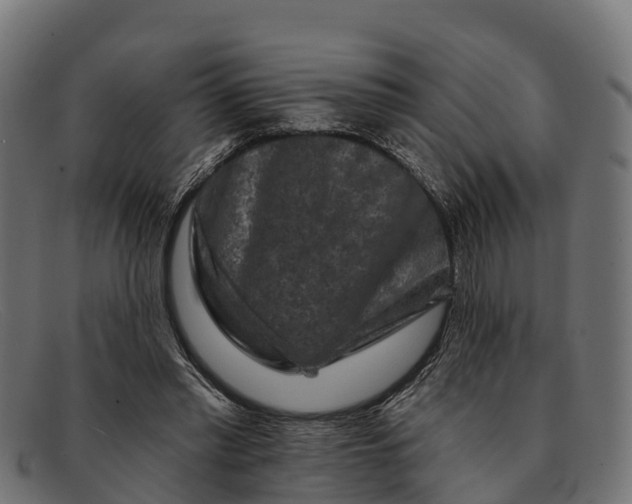 X0000091670397200709131532