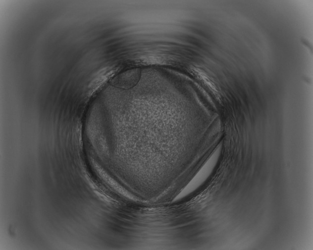 X0000091670398200709131532