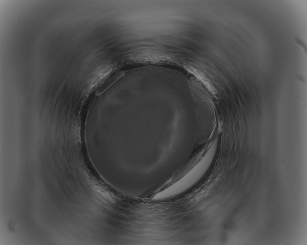 X0000091670399200709131532