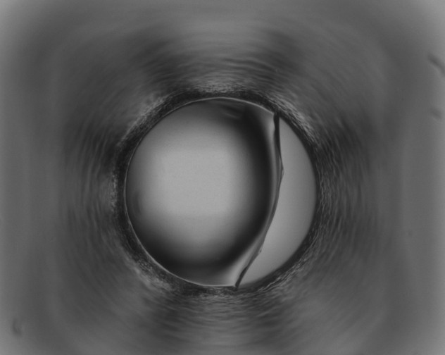 X0000091670400200709131532