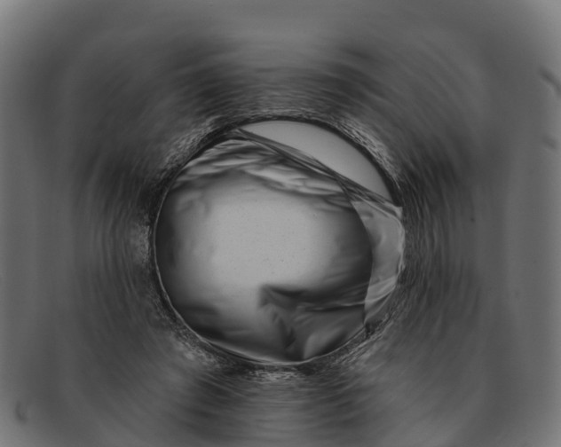 X0000091670401200709131532