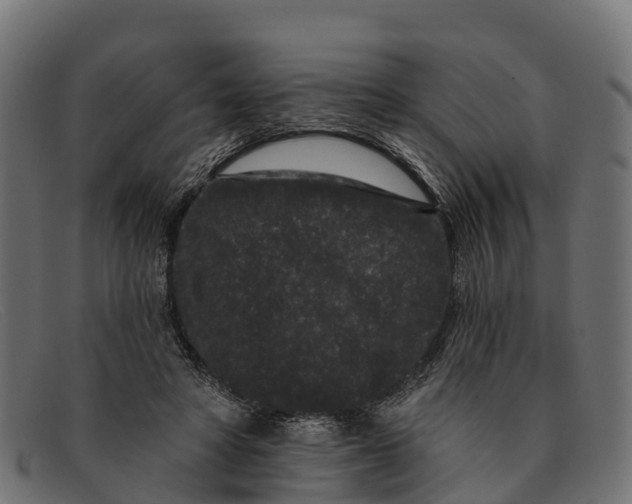 X0000091670402200709131532