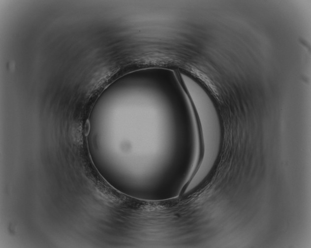 X0000091670403200709131532