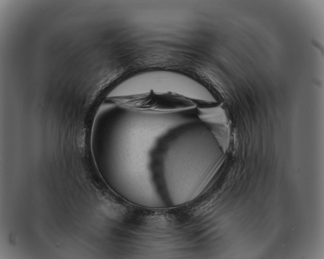 X0000091670404200709131532