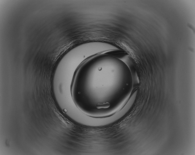 X0000091670405200709131532