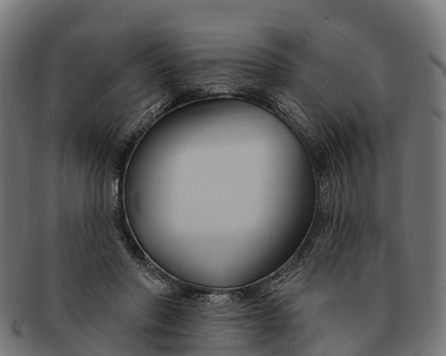 X0000091670406200709131532