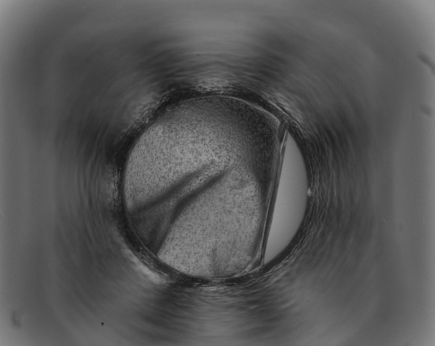 X0000091670408200709131532