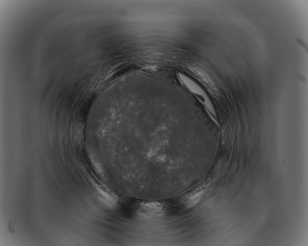 X0000091670409200709131532