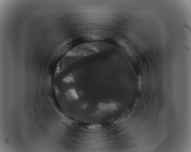 X0000091670410200709131532