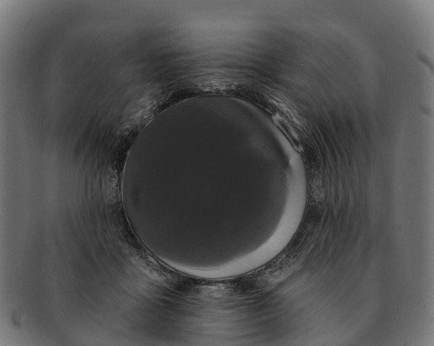 X0000091670411200709131532